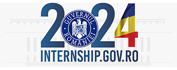 Internship 2024