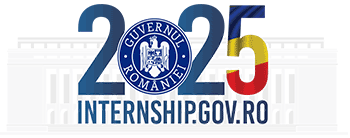 Internship 2025