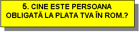 Text Box: 5. CINE ESTE PERSOANA OBLIGATĂ LA PLATA TVA N ROM.?