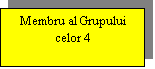 Text Box: Membru al Grupului celor 4
